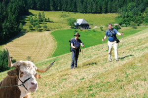 plakatmotiv schwarzwald direttissima